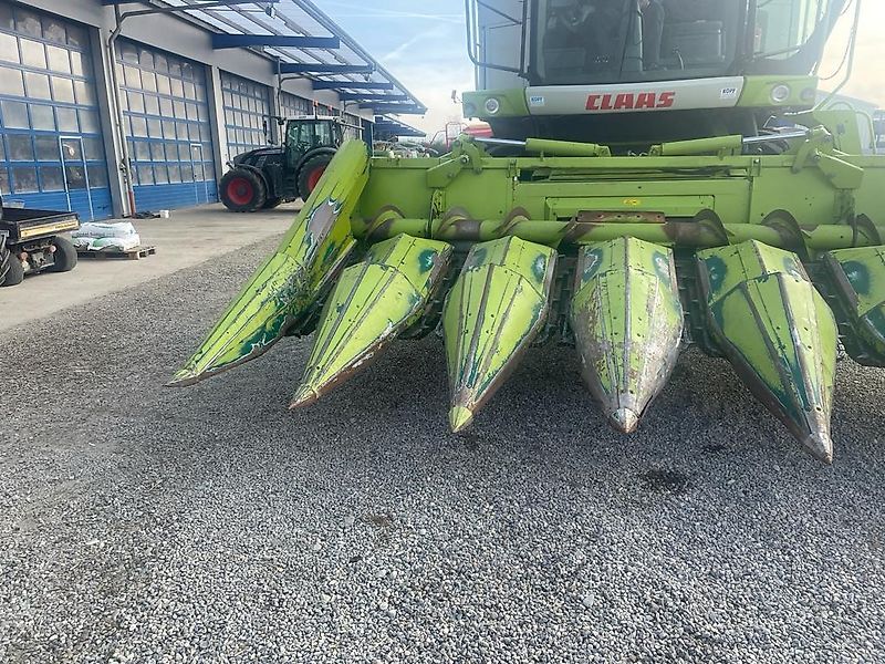 Claas Maispflücker 6 - 75 SL Orossystem