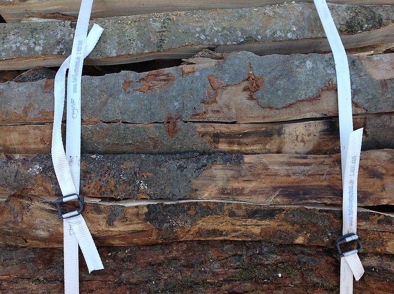 HAF-Forsttechnik HAF Profi Bündelset