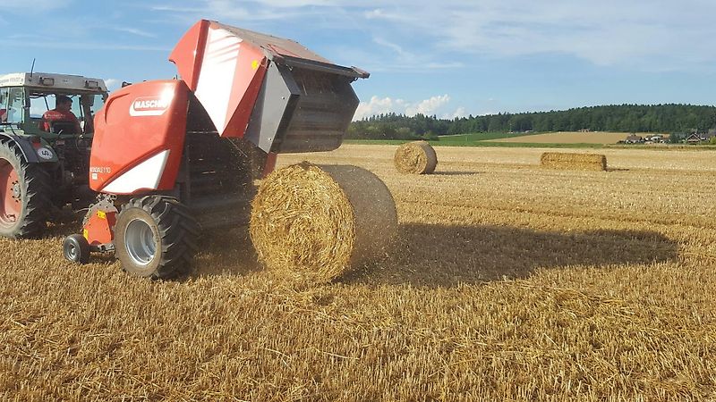 Maschio MONDIALE 110