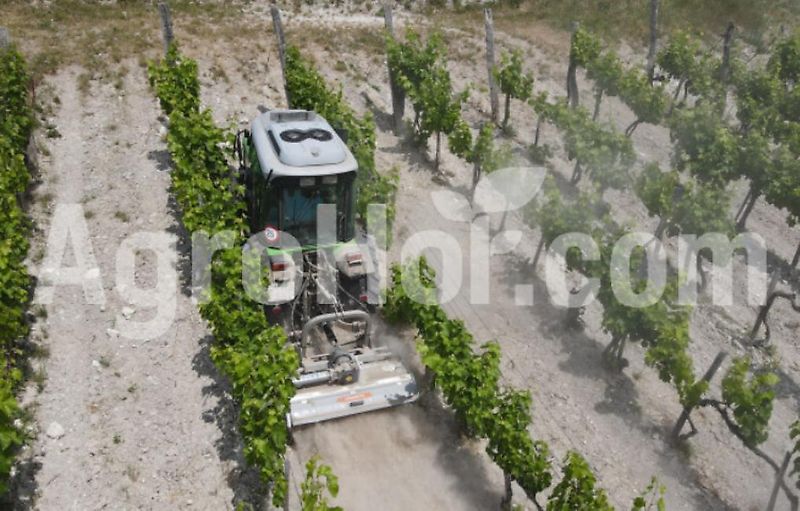 Aardenburg Alpha M Plus / Schlegelmulcher mit hydraulischem Seitenverschub 175-220 cm