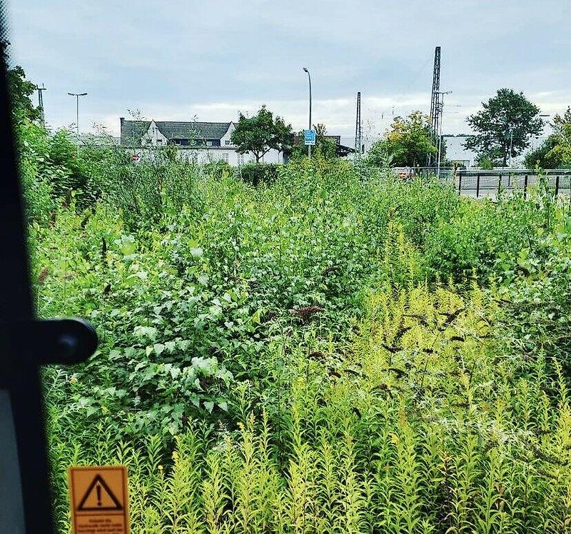 Omarv Böschungsmulcher Auslegemulcher Schlegelmulcher Mulcher